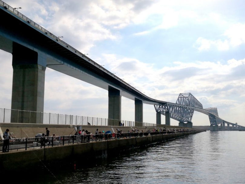 Dさんの東京ツアー